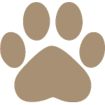 Pet lounge